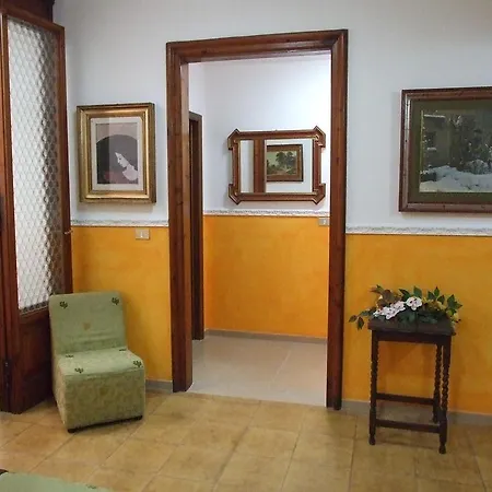 Midy Viareggio