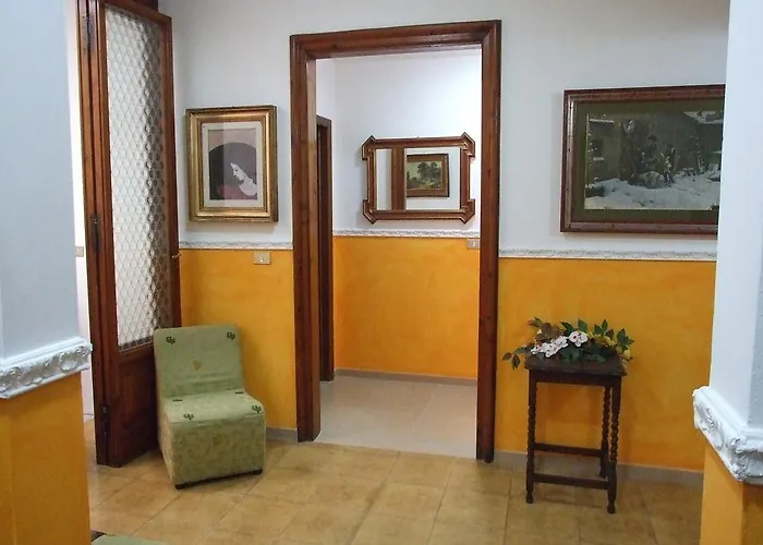 Midy Viareggio
