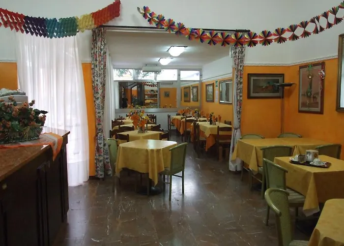 Midy Viareggio